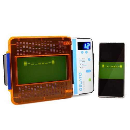 Tecnomedpcr (10) Gelato , cámara de electroforesis